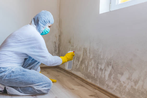 Crawl Space Mold Remediation treatment of floor joists in Stoystown