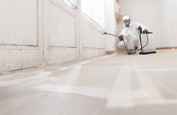 Black mold remediation team in Stoystown